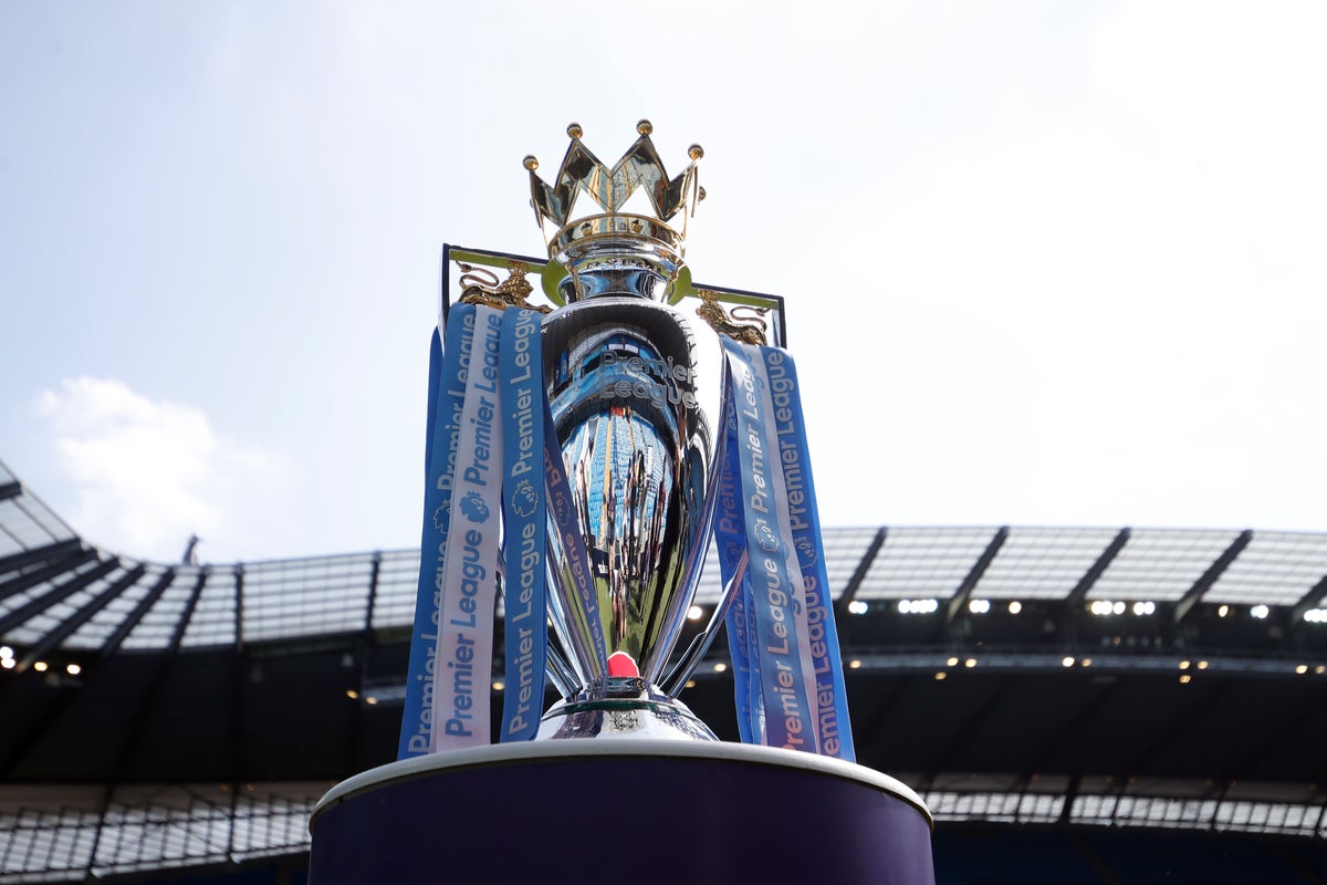 New football regulator could help foreign state ownership of Premier League clubs