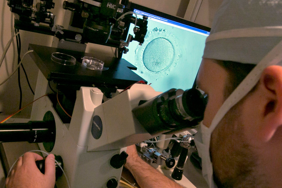 Facing backlash over IVF ruling, Alabama lawmakers look for a fix