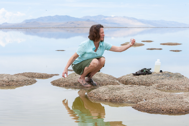 <p>Dr Bonnie Baxter, a biology professor at Westminster College in Utah, is fighting to save the state’s iconic Great Salt Lake from drying up</p>