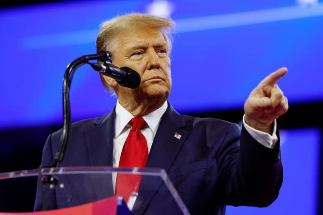 <p>Republican presidential candidate and former U.S. President Donald Trump speaks at the Conservative Political Action Conference (CPAC) at the Gaylord National Resort Hotel And Convention Center on February 24, 2024 in National Harbor, Maryland</p>