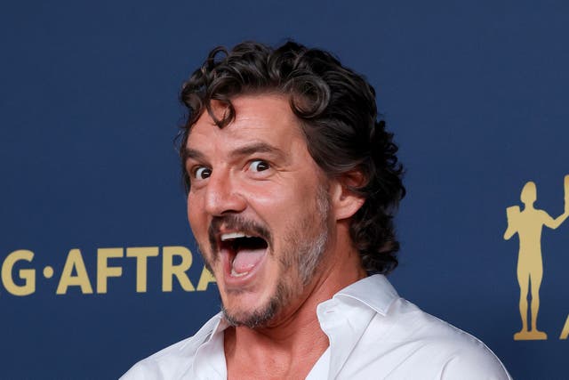 <p>Pedro Pascal at the Sag Awards 2024</p>