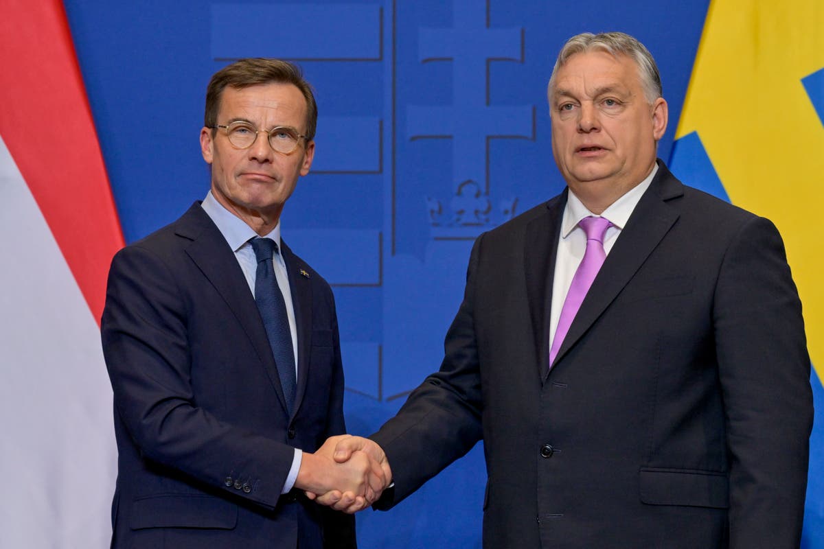 Hungary's parliament set to ratify Sweden's NATO accession in final step toward membership