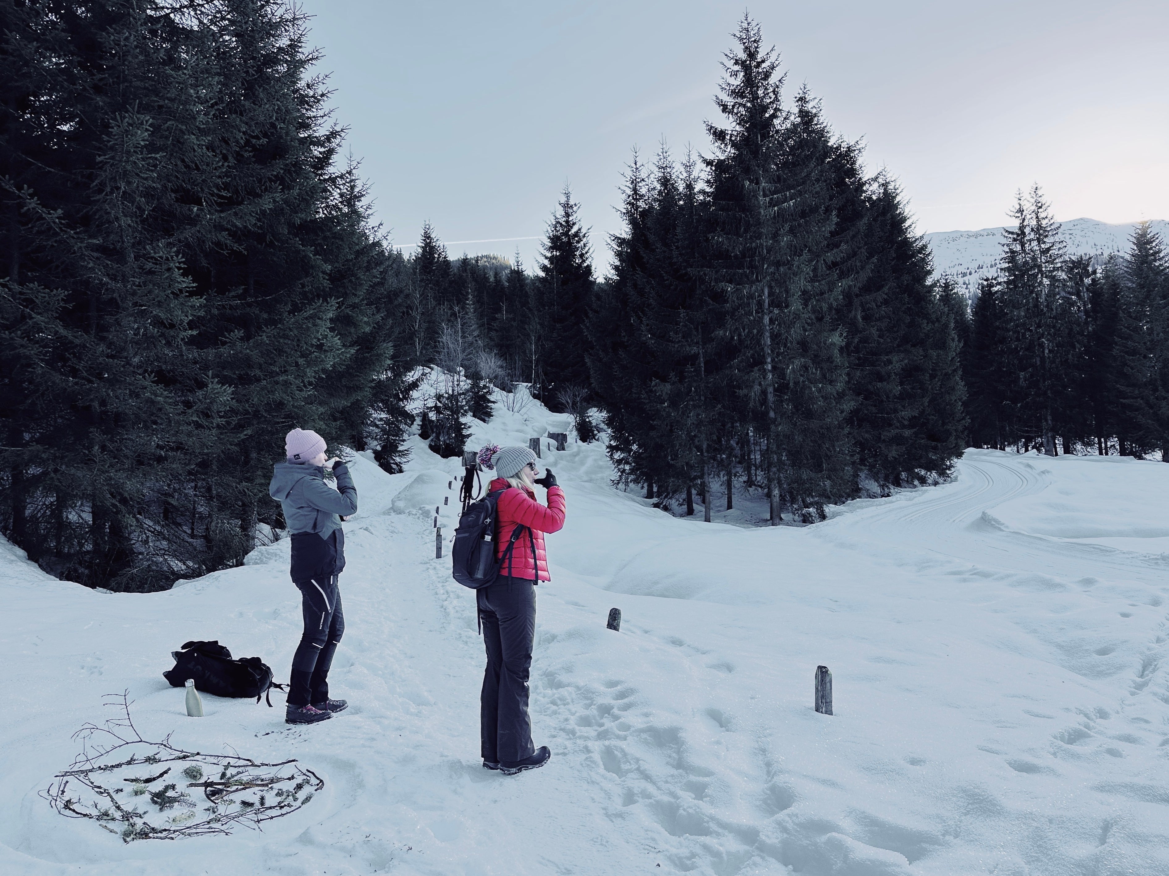 Forest bathing on a woodsy mountain walk above Bad Gastein