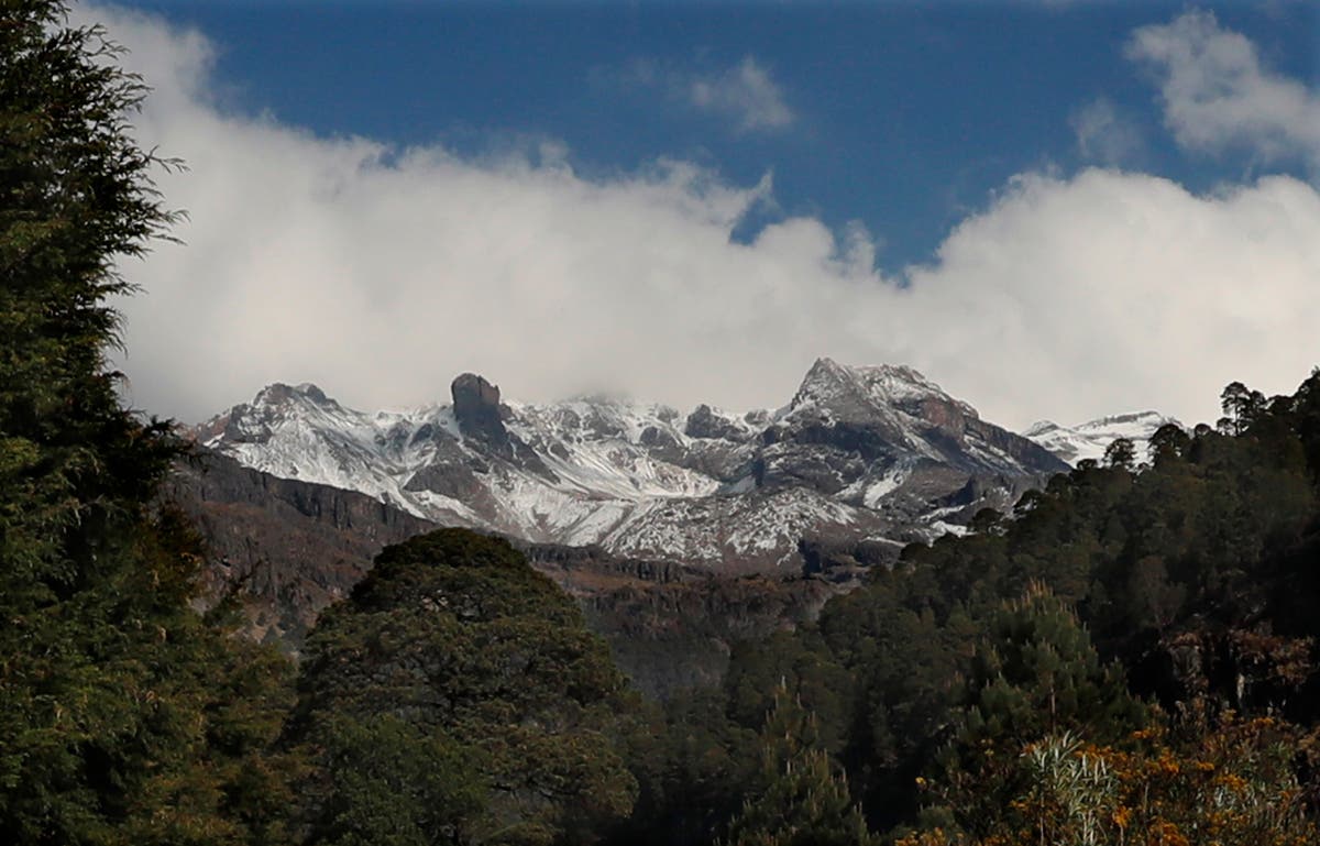 Suspected illegal loggers kill 3 forest rangers on patrol in a forest in central Mexico