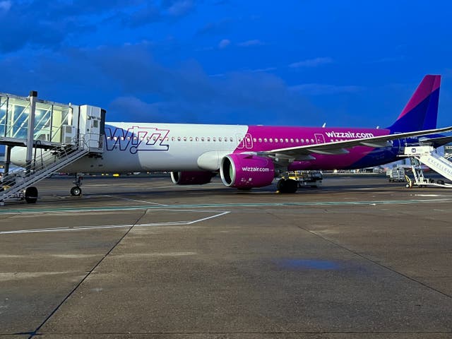 <p>Blue sky thinking? Wizz Air Airbus A321 at London Gatwick airport</p>