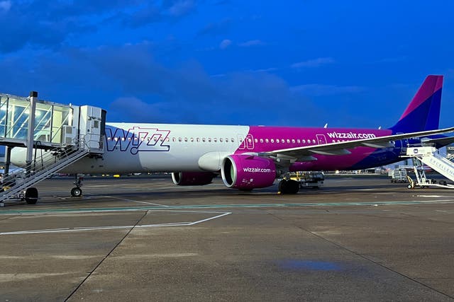 <p>Blue sky thinking? Wizz Air Airbus A321 at London Gatwick airport</p>