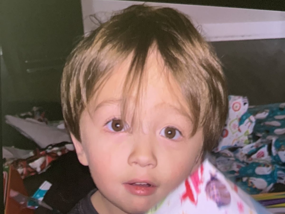 Search for missing three-year-old after mother ‘sent him to friend’s house for disciplinary reasons’ 