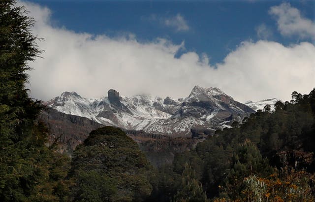 MÉXICO-GUARDABOSQUES ASESINADOS