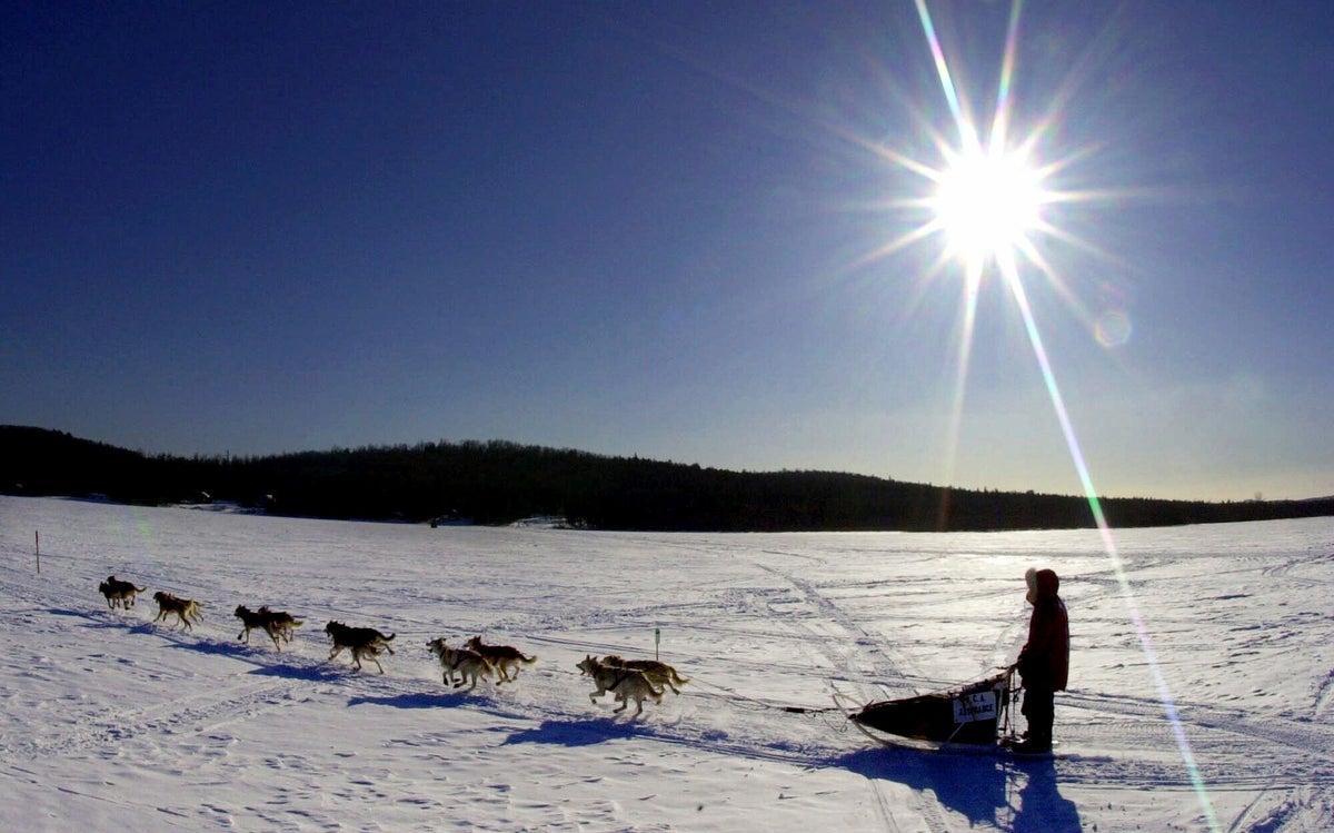 World-famous sled dog race canceled because of lack of snow