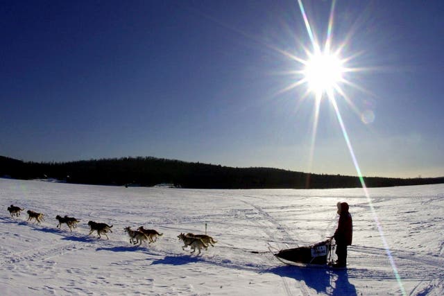 <p>Musher Keith Aili and his sled dog team cross Portage Lake in Portage, Maine</p>