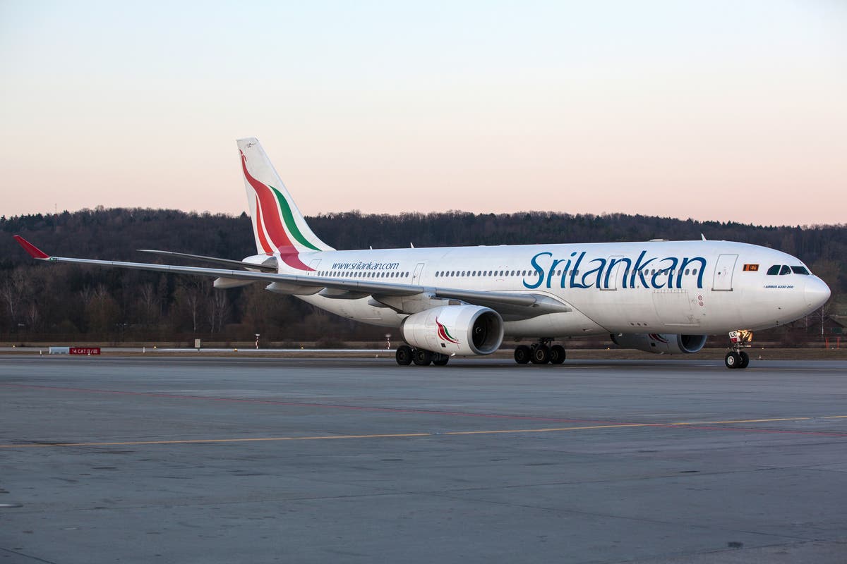 Stowaway rat grounds SriLankan Airlines flight in Colombo