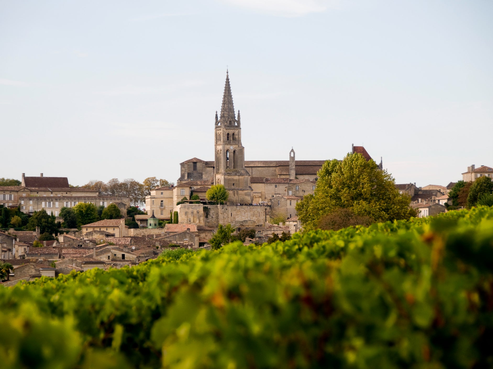 The vineyards of Saint-Emilion are an essential stop on a Bordeaux wine tour