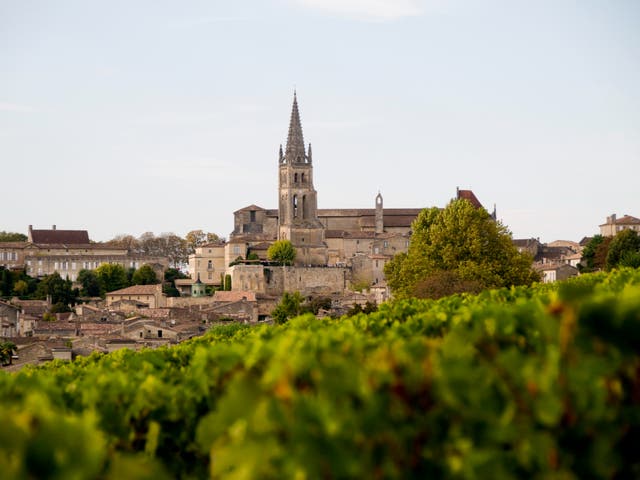 <p>The vineyards of Saint-Emilion are an essential stop on a Bordeaux wine tour</p>