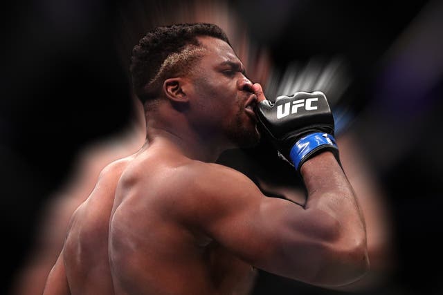 <p>Ngannou during his devastating run-up to winning the UFC heavyweight title</p>