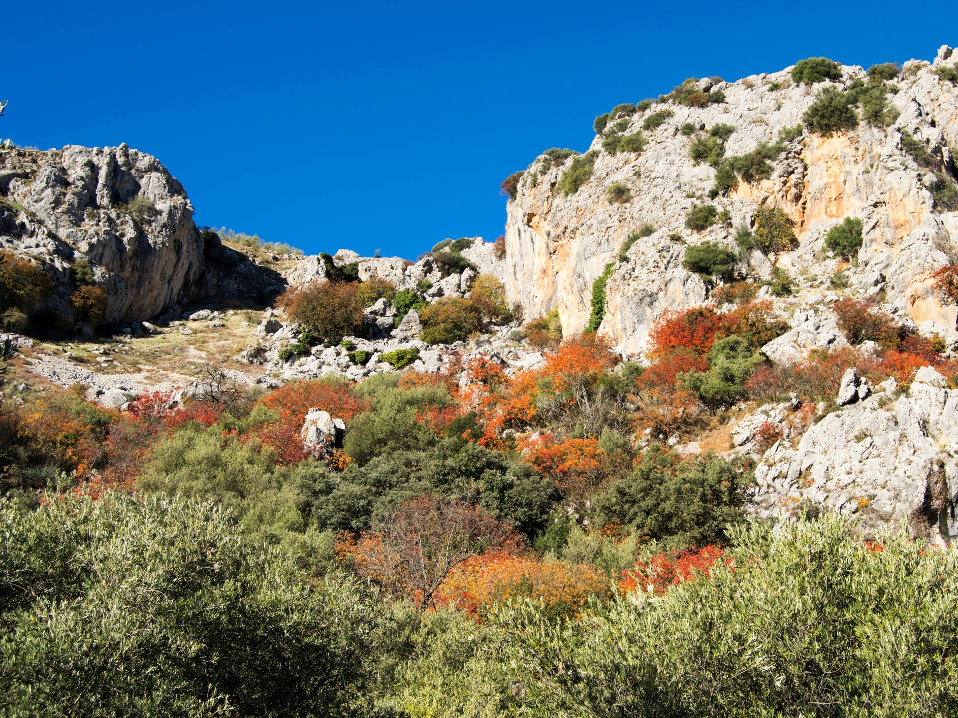 Sierras Subbéticas National Park in Andalusia is a great spot for springtime hiking