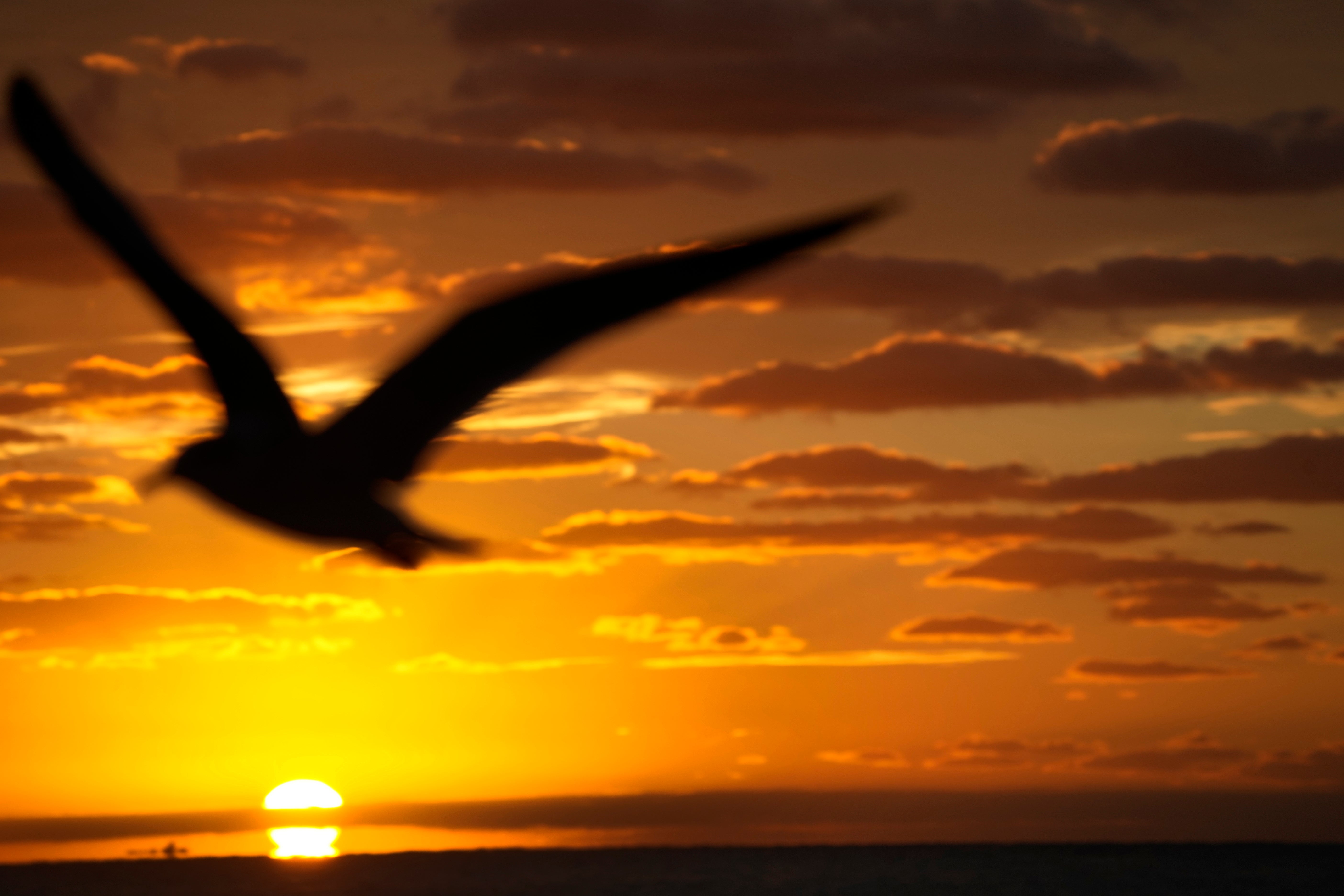 Climate Warming Unexpected Impacts