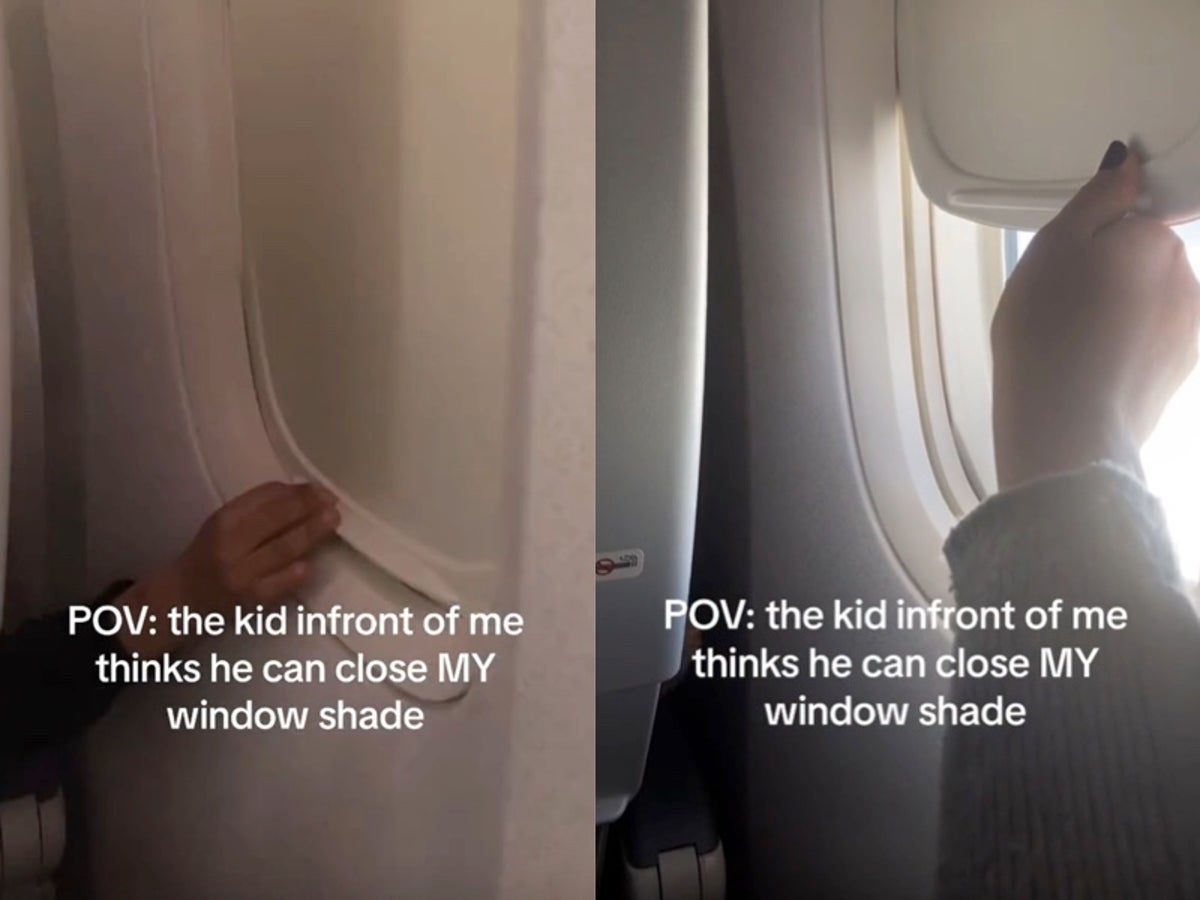 Woman battles child over airplane window, sparking debate