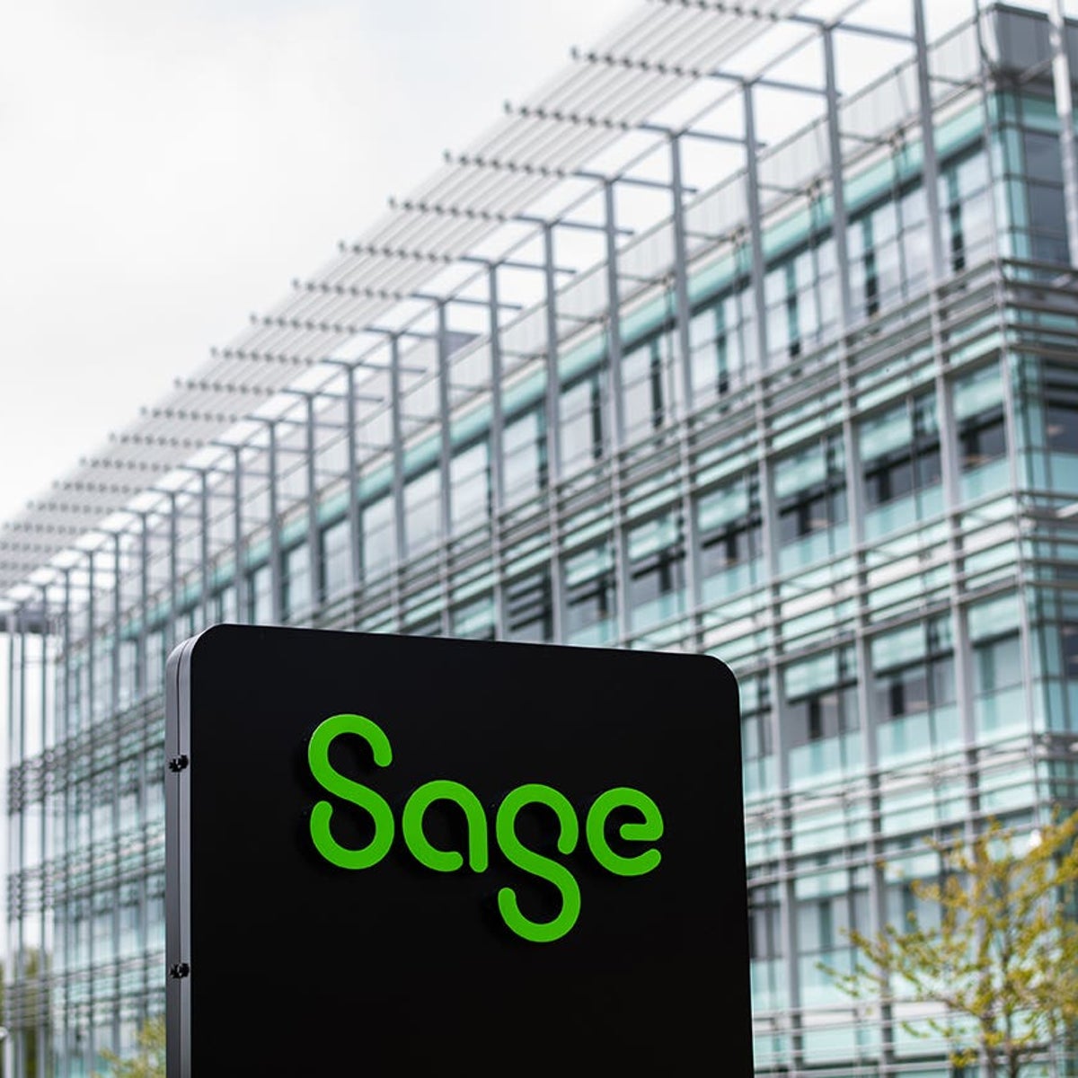AI will 'change nature' of accounting, says Sage boss