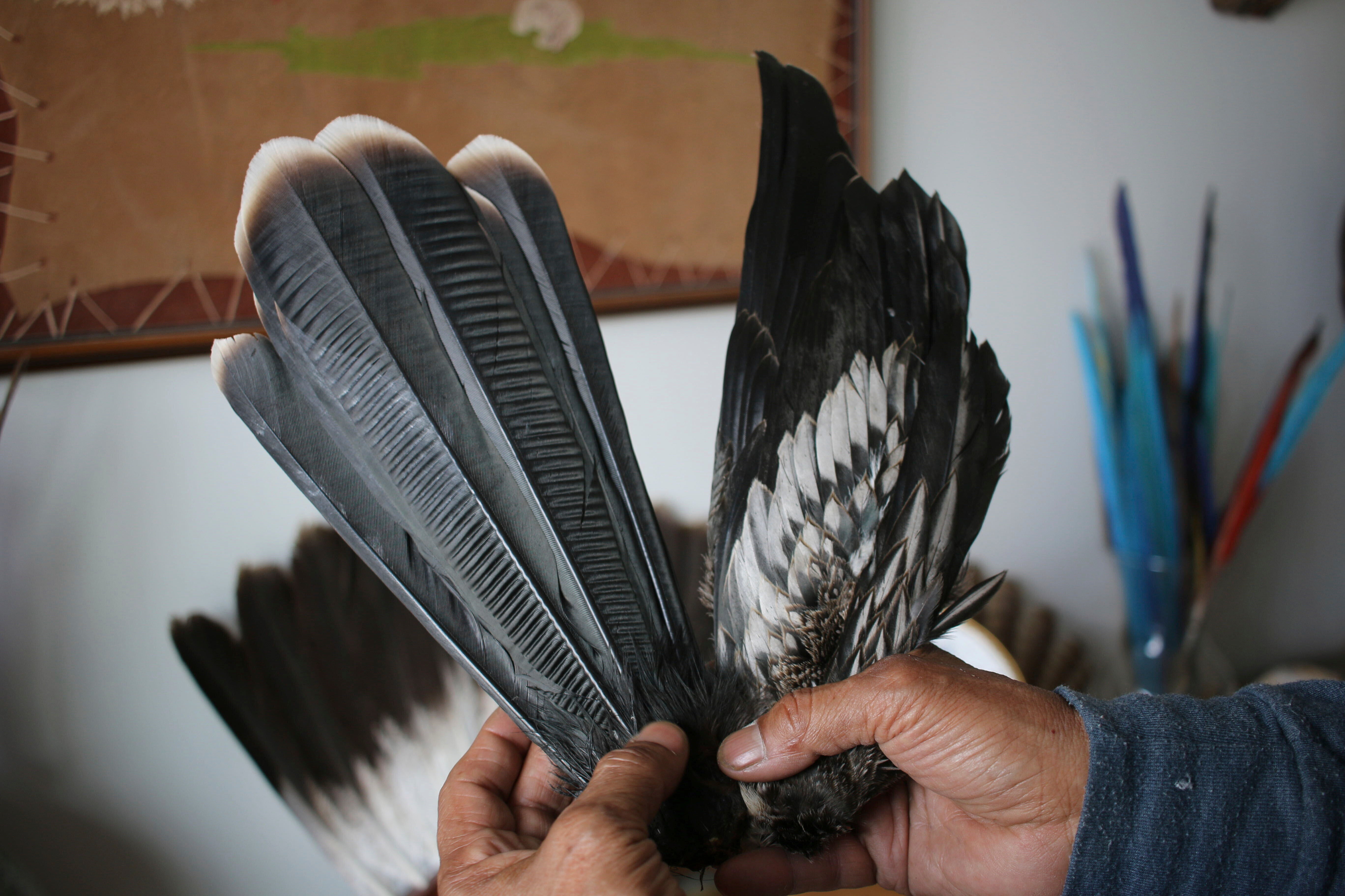 Eagles Killed Black Market