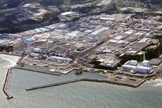 First drone probe of melted fuel inside Fukushima Daiichi reactor halted due to equipment glitch