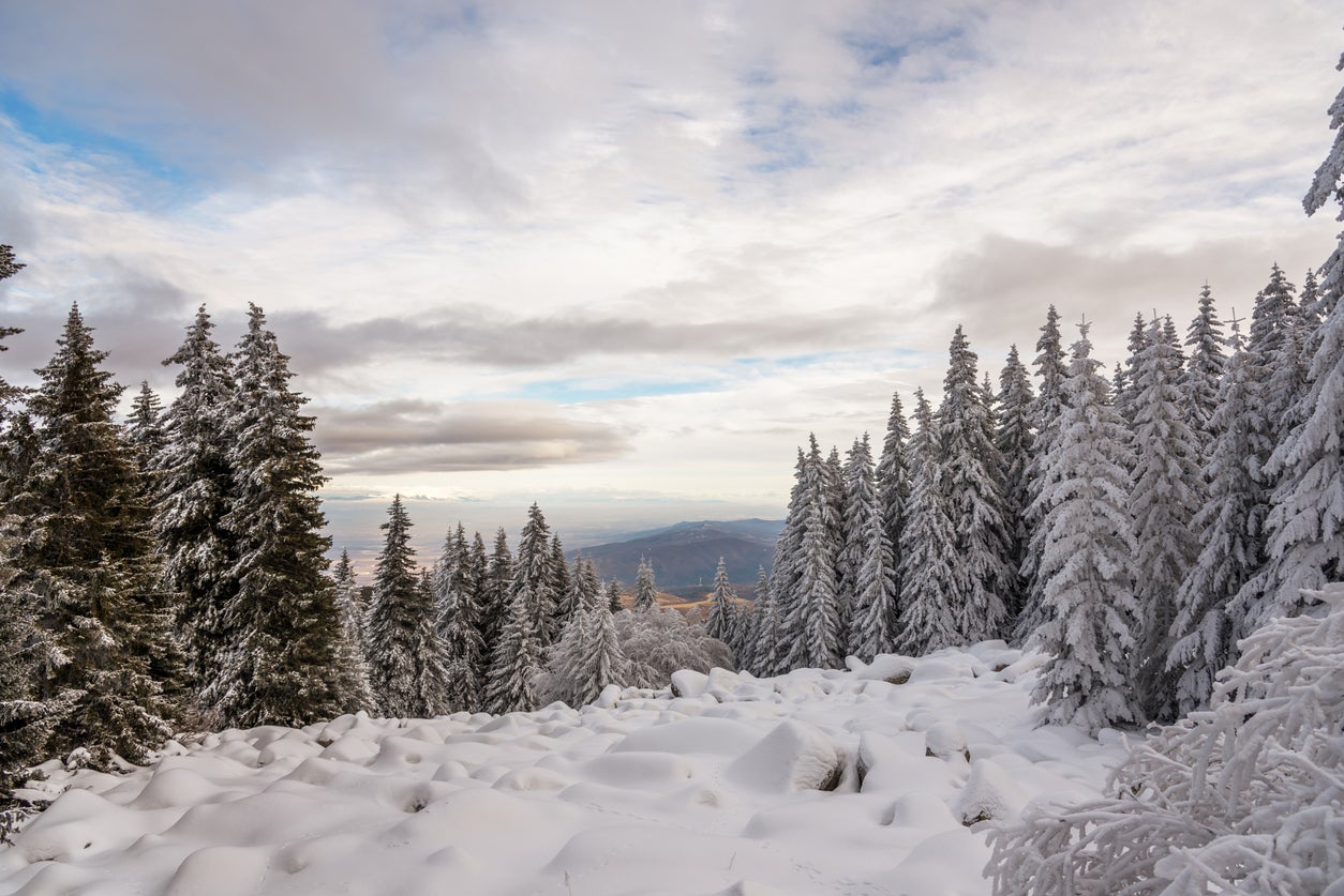 Borovets is one of the best-value European ski resorts for adults