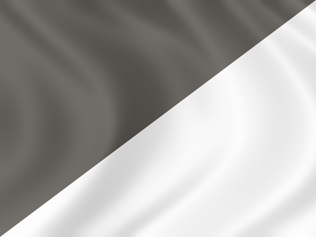 Formula 1 Flag: Black and White