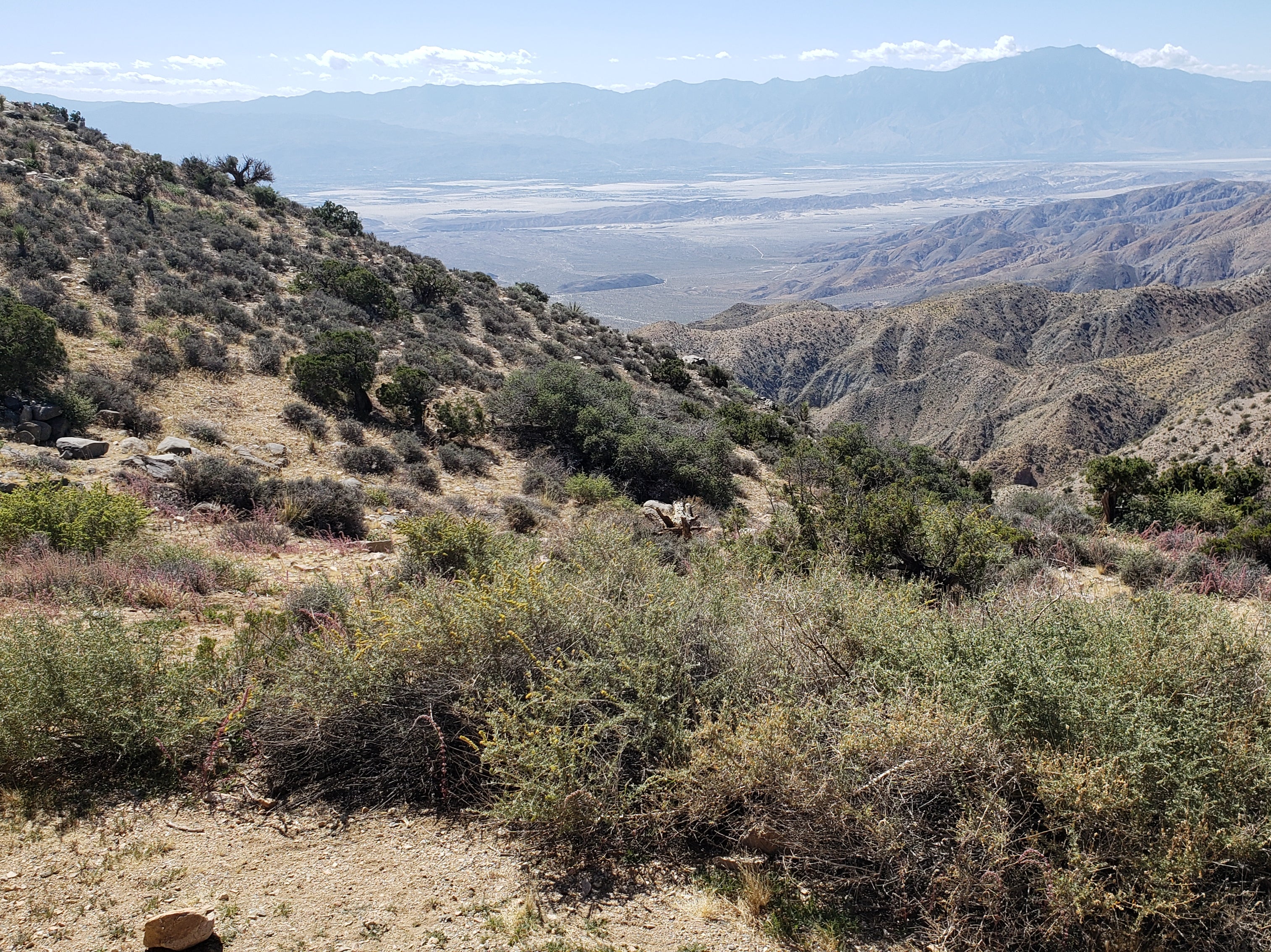 Looking across the Palm Springs Valley and San Andreas Fault Line from Joshua Tree National Park