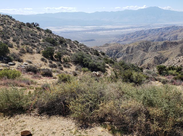 <p>Looking across the Palm Springs Valley and San Andreas Fault Line from Joshua Tree National Park</p>