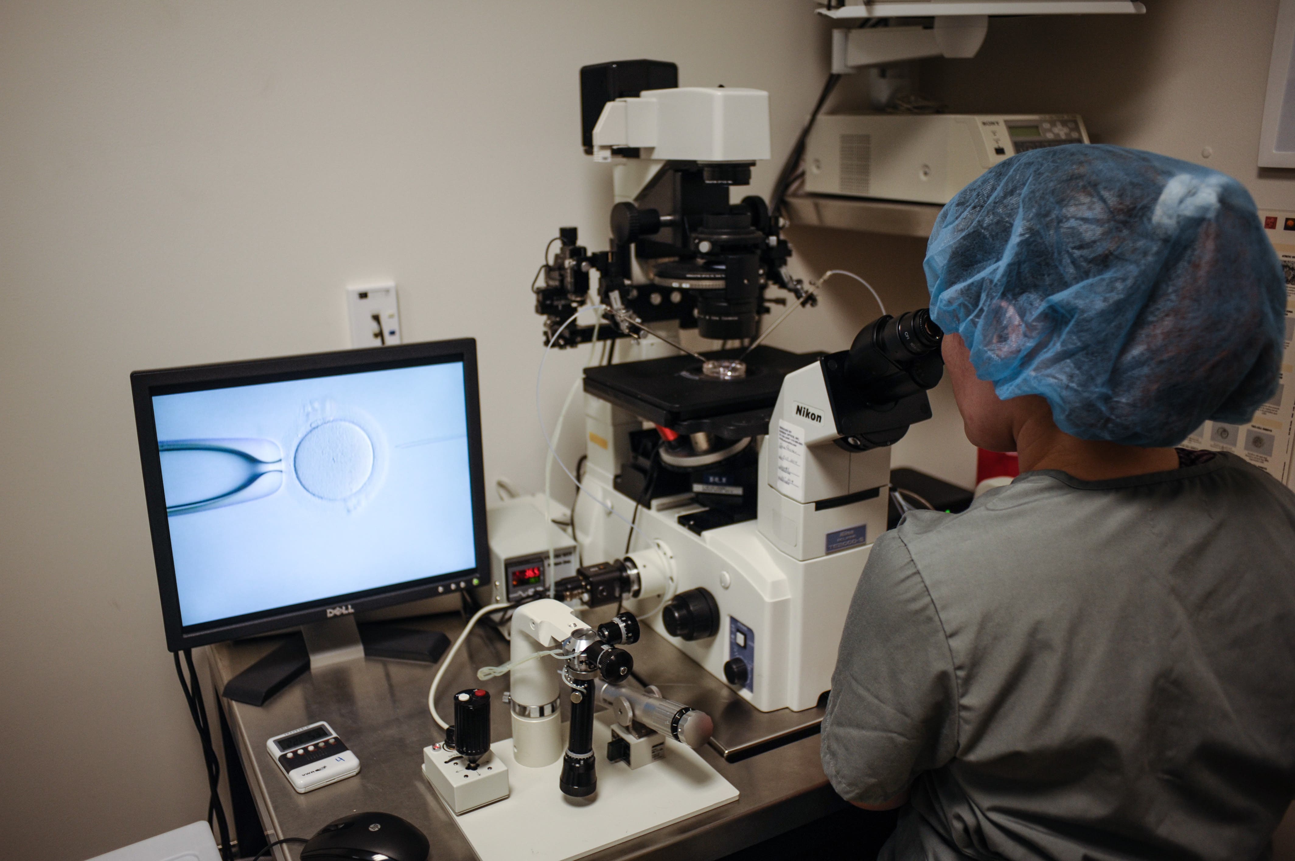 Florida Republican lawmakers axe 'unborn child' bill after Alabama IVF ruling - Vimarsana News