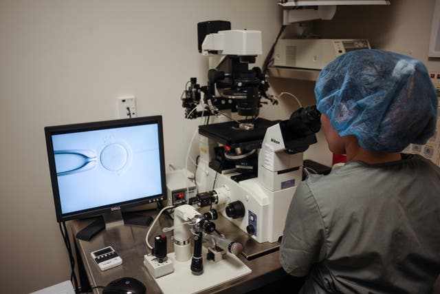 <p>An embryologist is seen at work at the Virginia Center for Reproductive Medicine, in Reston, Virginia on 12 June 2019</p>