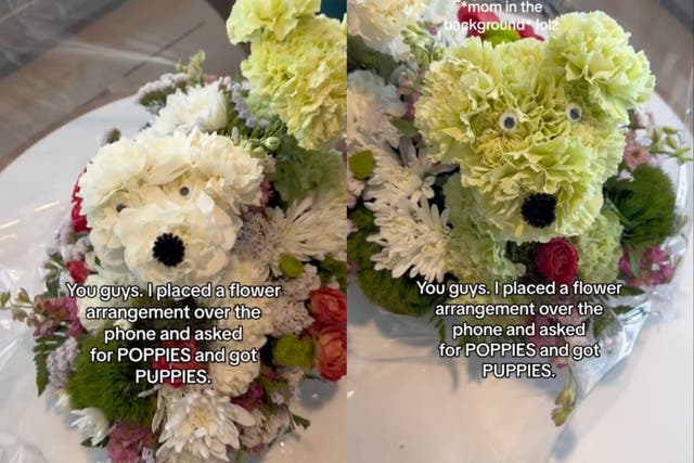 <p>Woman orders bouquet of poppies and hilariously receives flowers shaped like puppy instead</p>