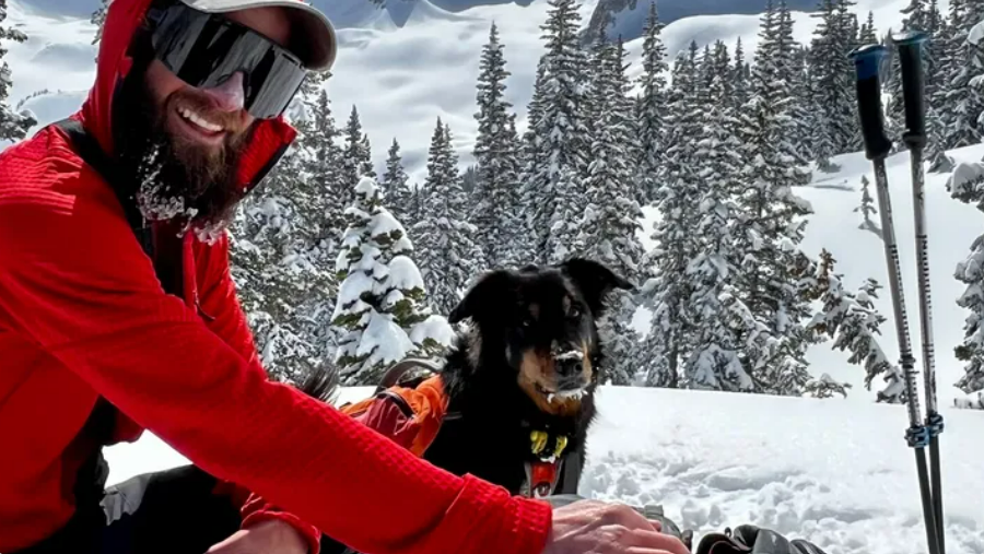<p>Ullr went missing one mile from Chair Mountain in Colorado in an avalanche </p>