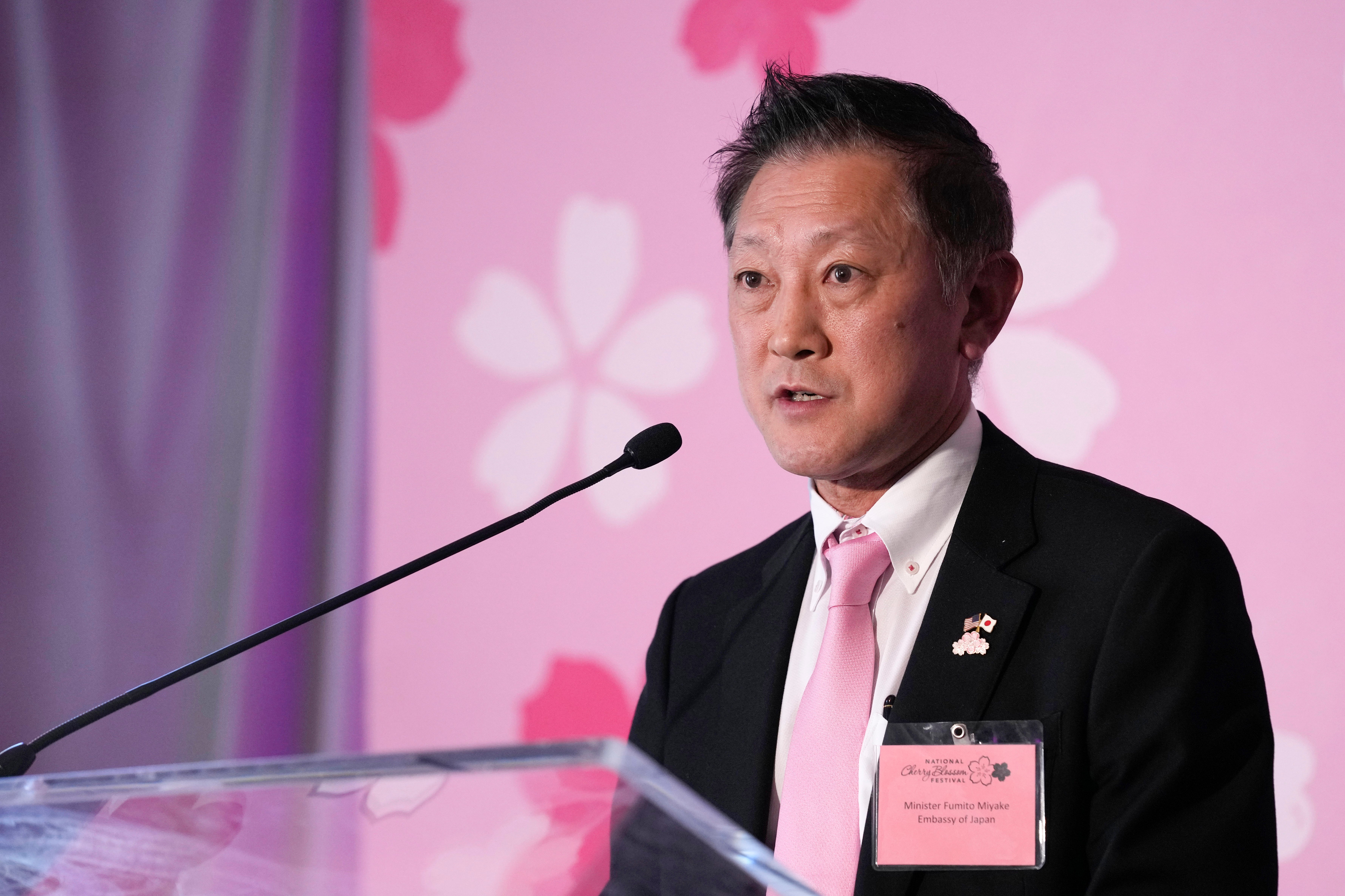 National Cherry Blossoms