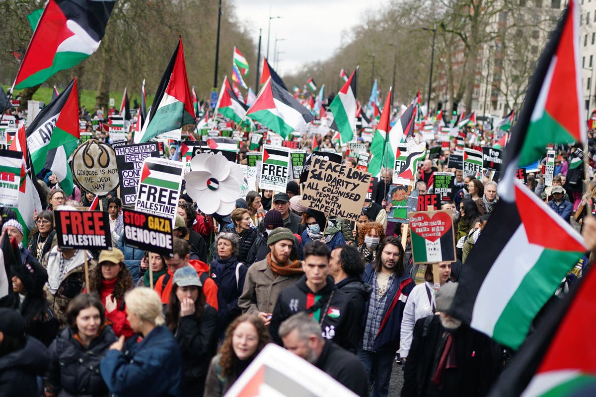 Pro-Palestine protesters ask Sunak to ‘look in the mirror’ after PM’s ...