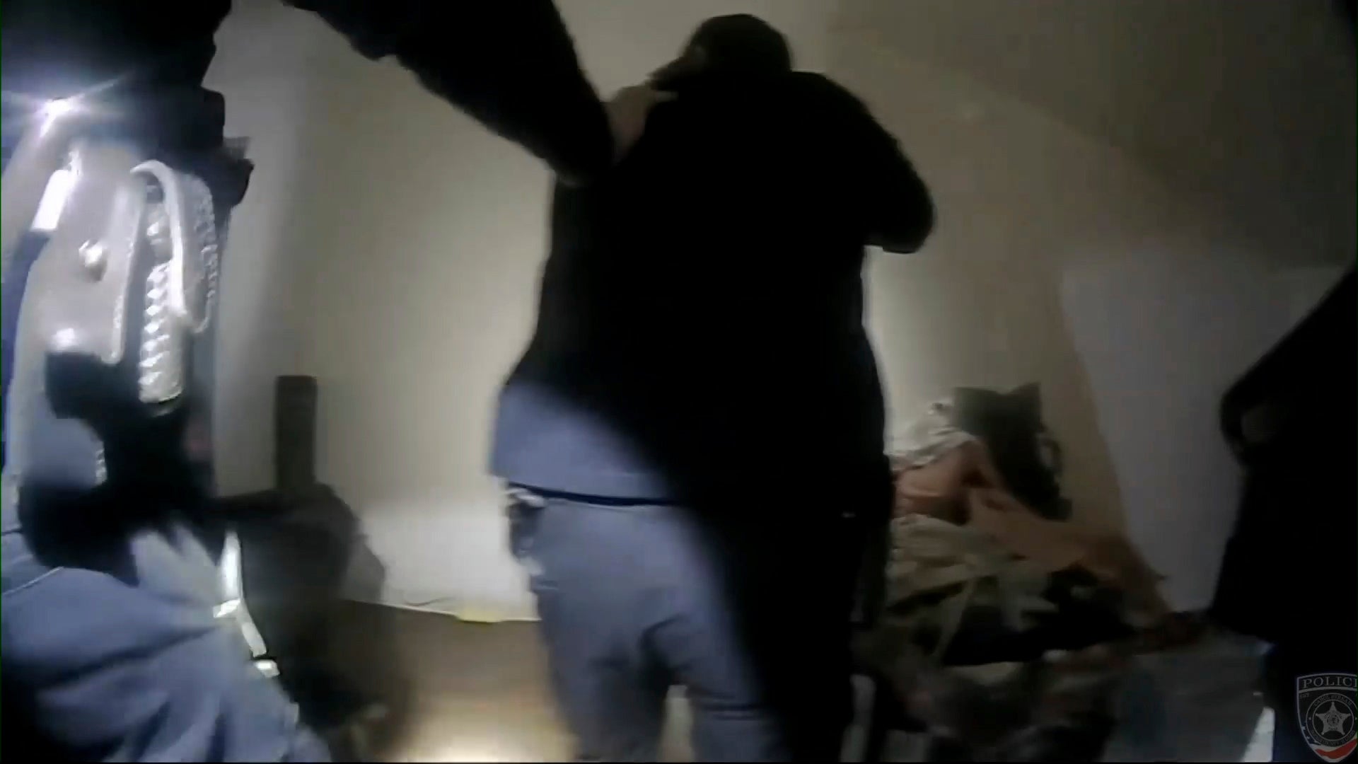 Illinois Police Shooting