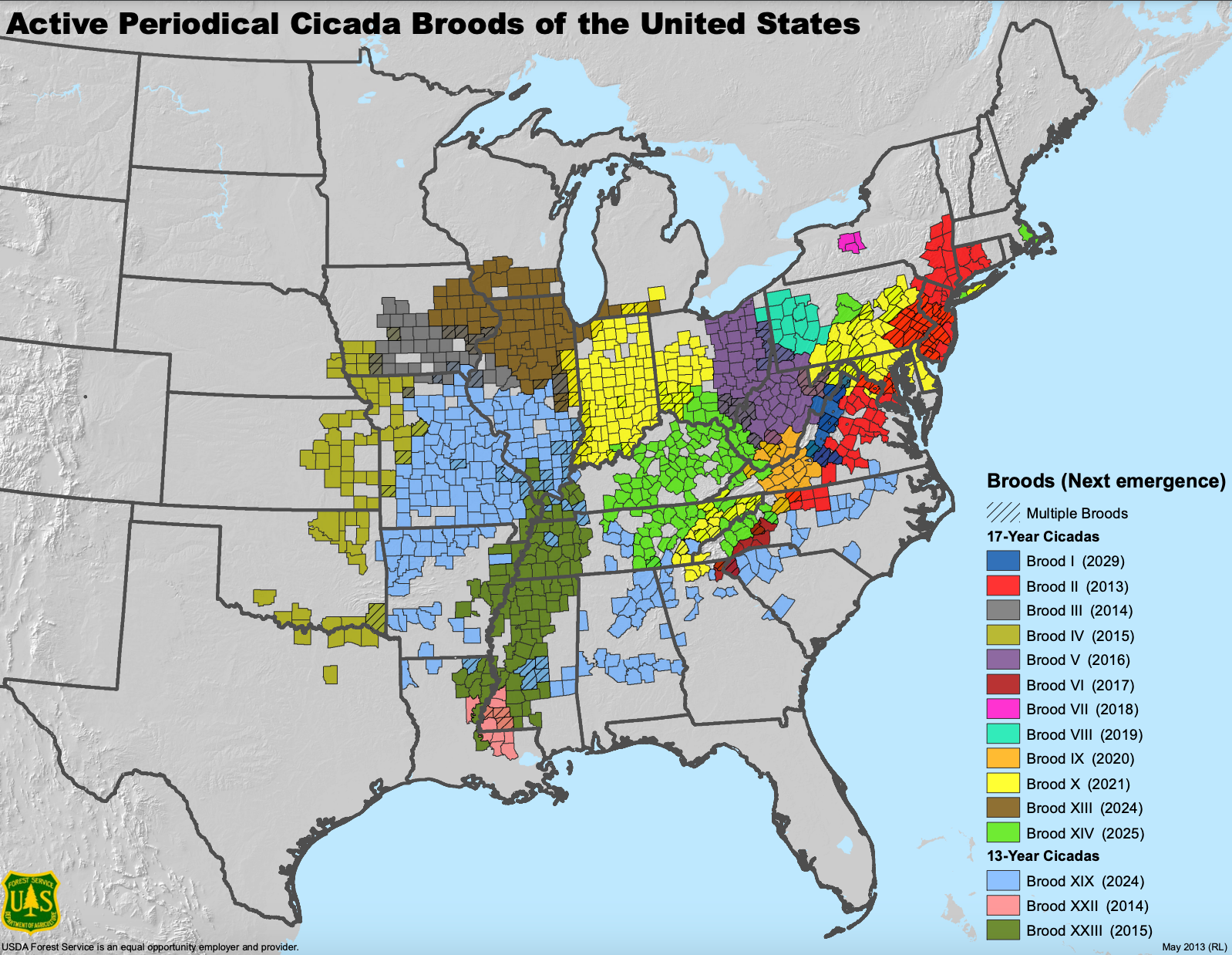 This map shows where Brood XIX (light blue) and Brood XIII (brown) will emerge this spring