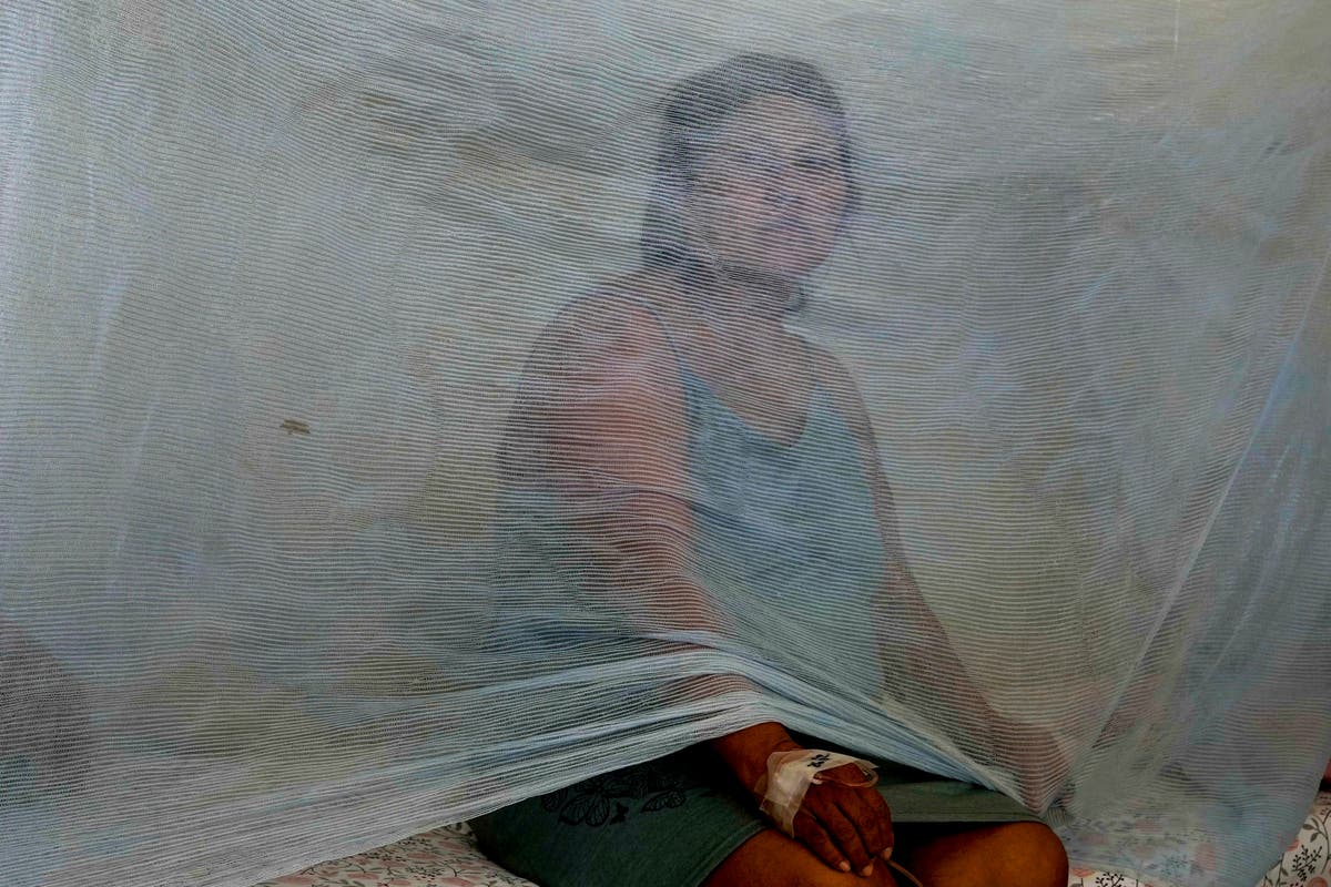 Dengue cases in Peru are surging, fueled by mosquitoes and high temperatures brought by El Niño