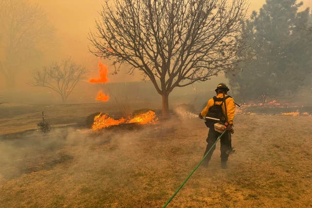 <p>This handout picture courtesy of the Flower Mound Fire Department taken on February 28, 2024, shows a firefighter battling the Smokehouse Creek Fire, near Amarillo, in the Texas Panhandle. </p>