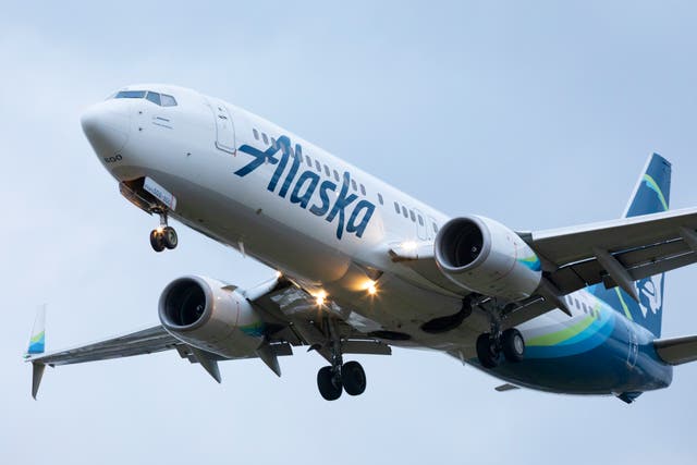<p>The dog did not make it onto the Alaska Airlines flight </p>