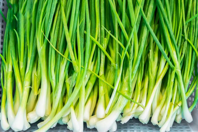 <p>Spring onions are at their peak from March to June </p>