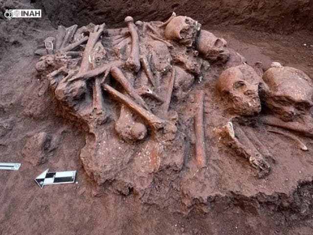 <p>A pile of skulls found during an archaeological dig in the Mexican town of Pozo de Ibarra</p>