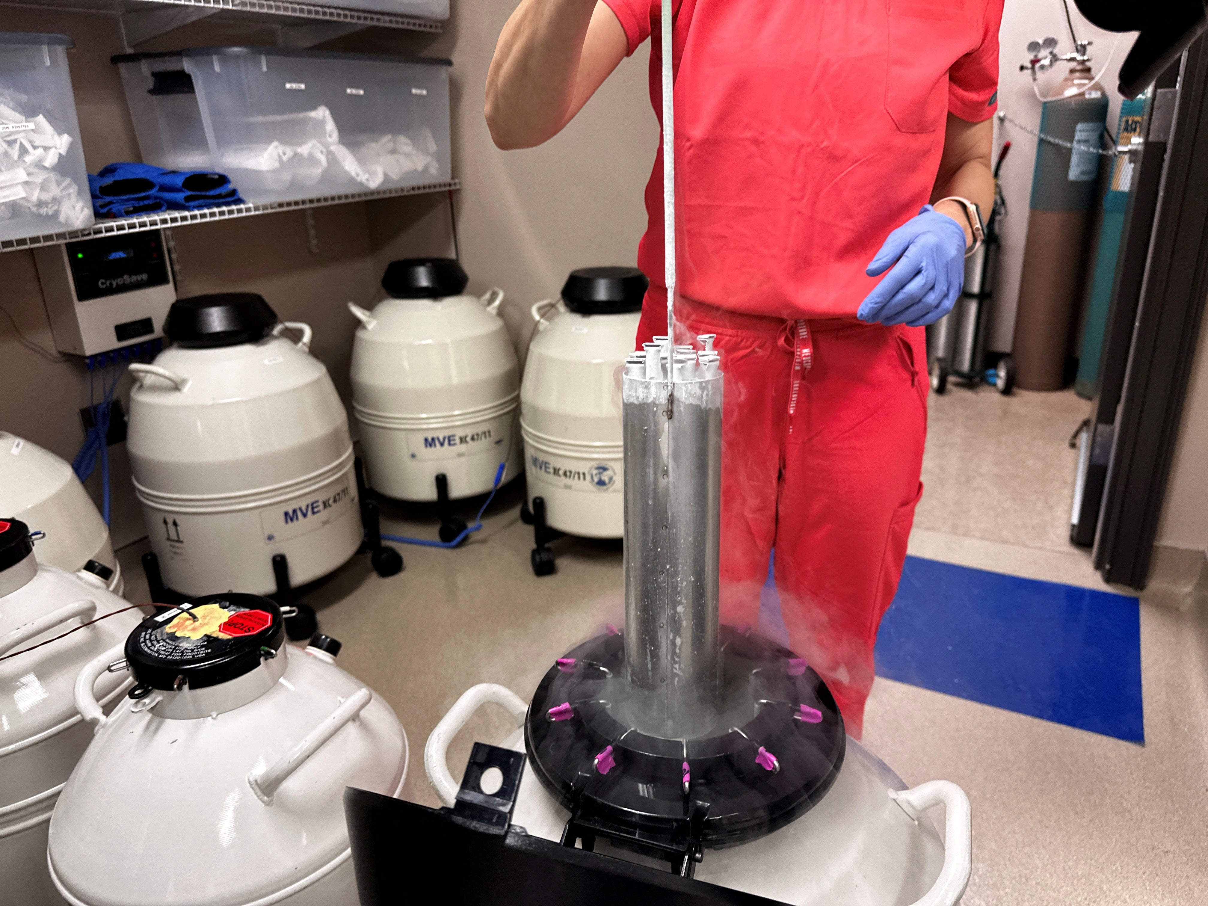 Lynn Curry, nurse practitioner for Huntsville Reproductive Medicine, lifts frozen embryos out of IVF cryopreservation dewar in Madison, Alabama, on 4 March.