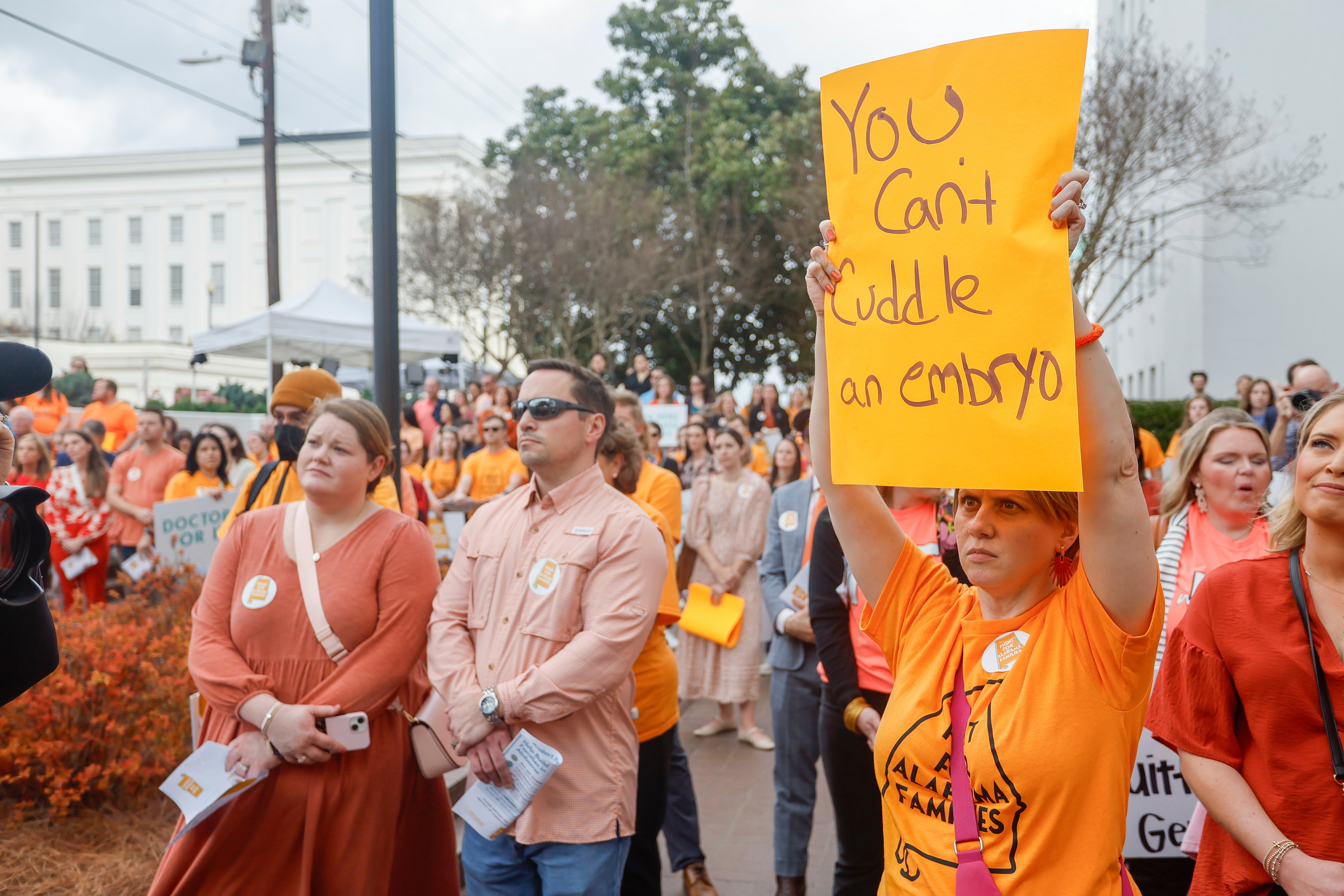 Demonstrators rally for IVF protections outside the Alabama State House on 28 February.