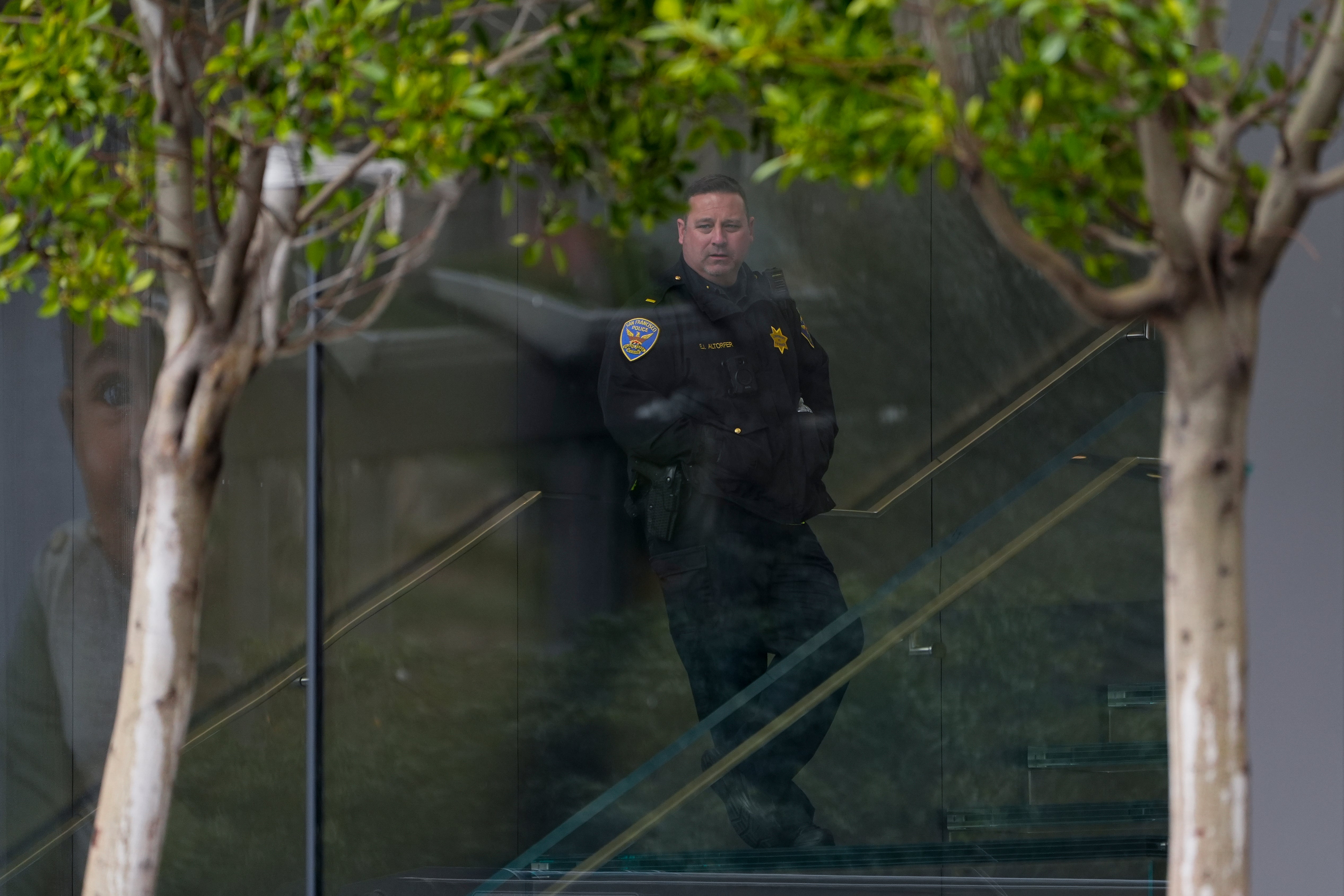 Election 2024 California San Francisco