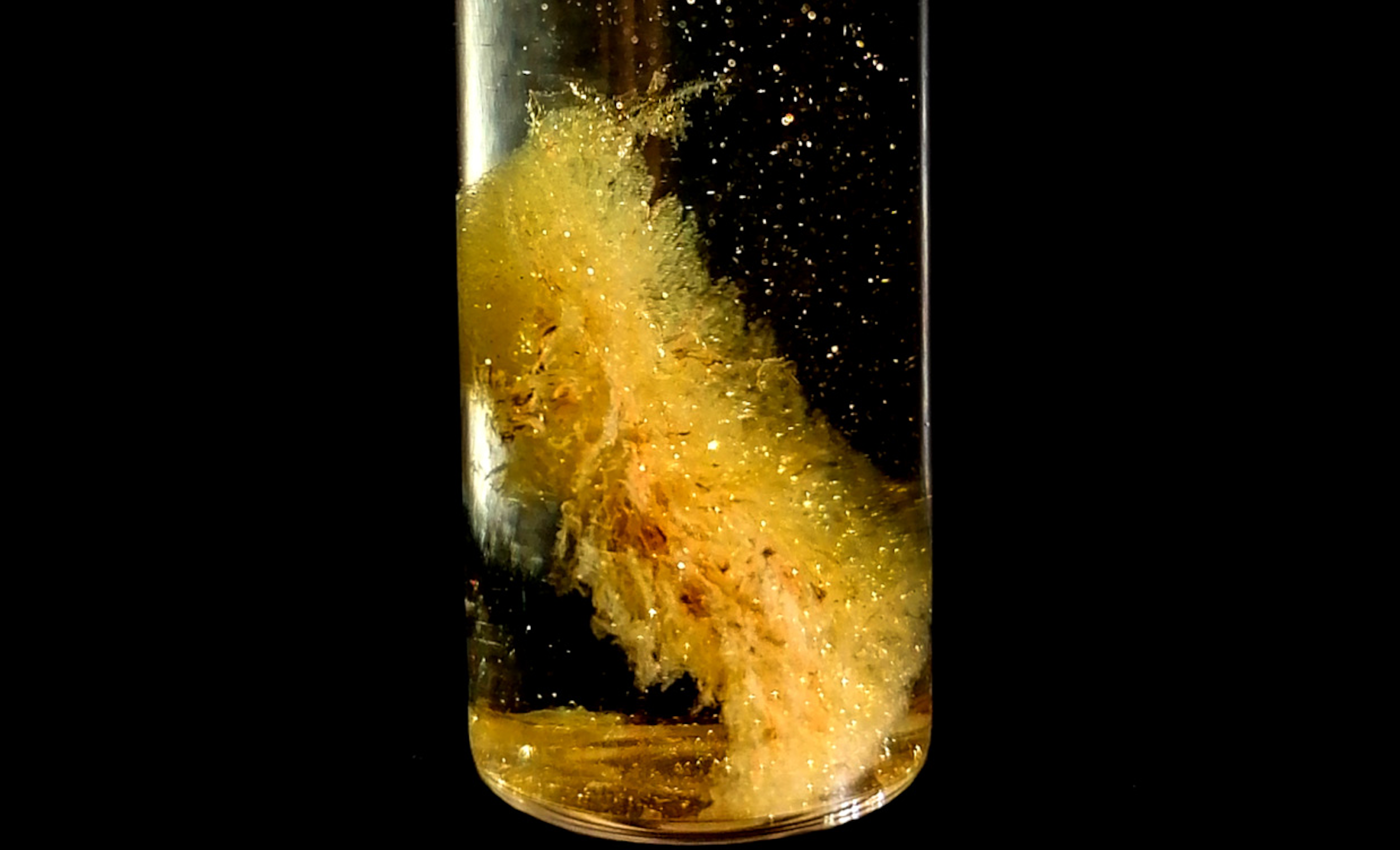 <p>Aerogel cargado con iones de oro</p>