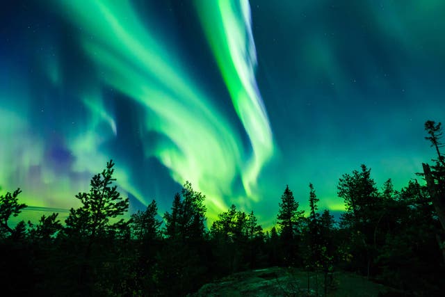<p>The best shows of the northern lights are from 11pm to midnight (Alamy/PA)</p>