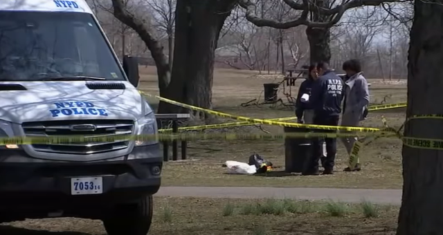 <p>Brandy Odom’s remains were found in Canarsie Park in Brooklyn </p>