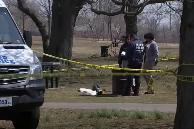 <p>Brandy Odom’s remains were found in Canarsie Park in Brooklyn </p>