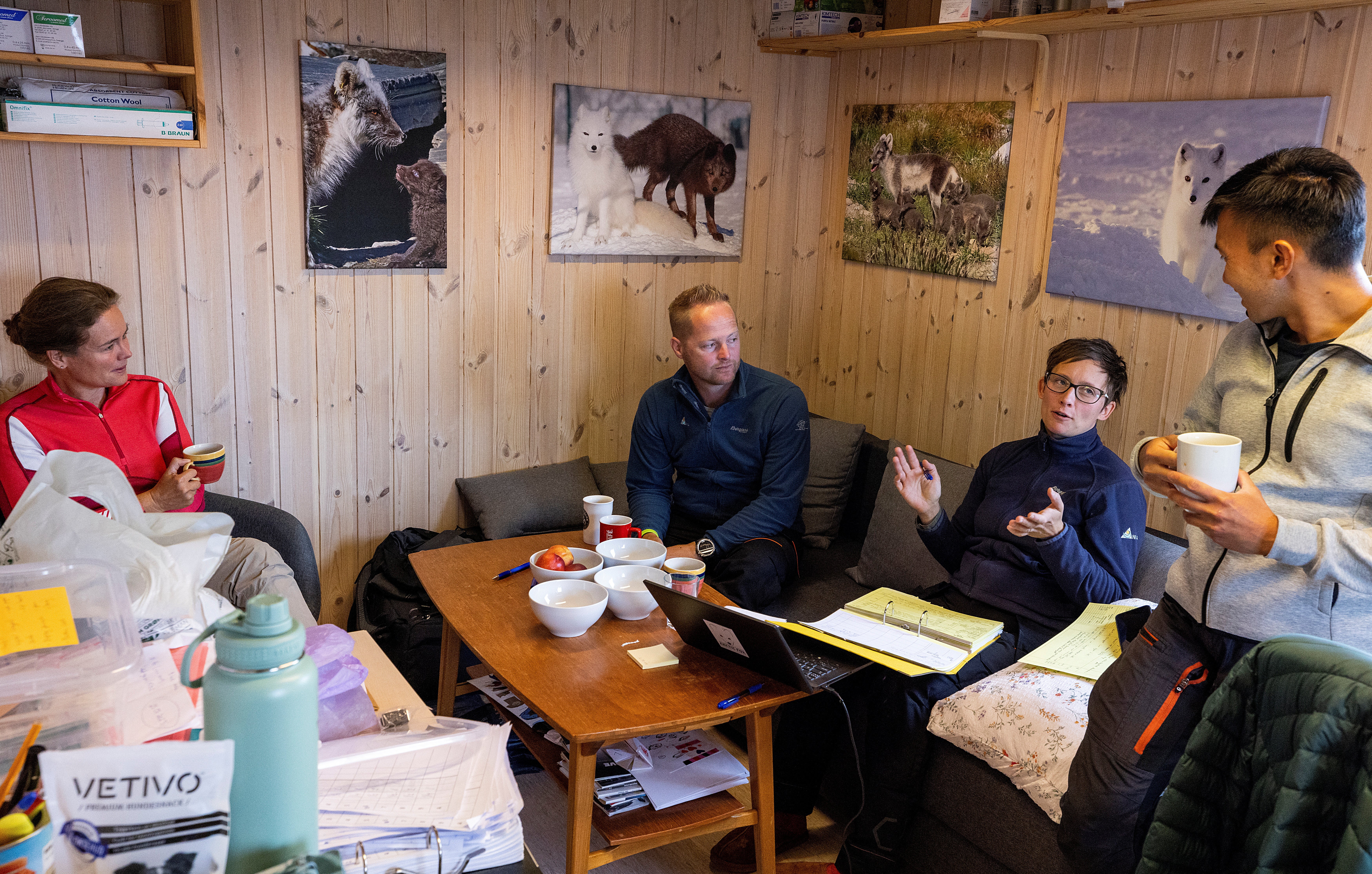 Vet Marianne Furnes and biologists Craig, Kristine and Kang Nian Jap take a break during a medical check-up of the foxes