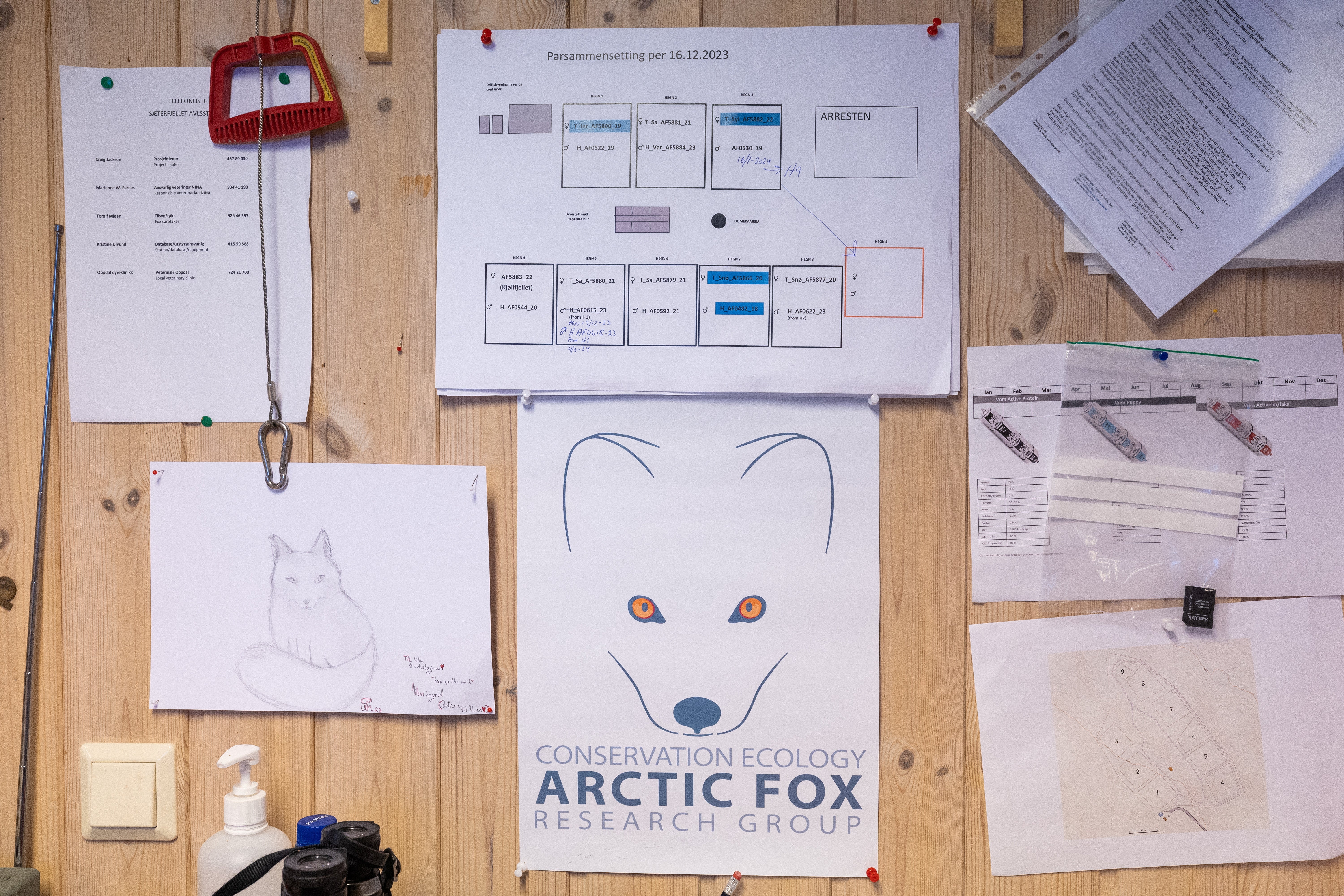 A plan for Arctic foxes couple composition hangs on a wall inside the office at the Arctic Fox Captive Breeding Station
